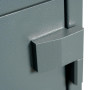Burglar resistant safe CLE IV.67.E.E COMBI