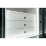 Сейф зламостійкий CLE III.125.E BLACK COMBI GLOSS WITH 12 winders