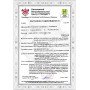 Сейф взломостойкий банковский CL V.65.K.K