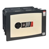 Built-in safe WL.3228.E